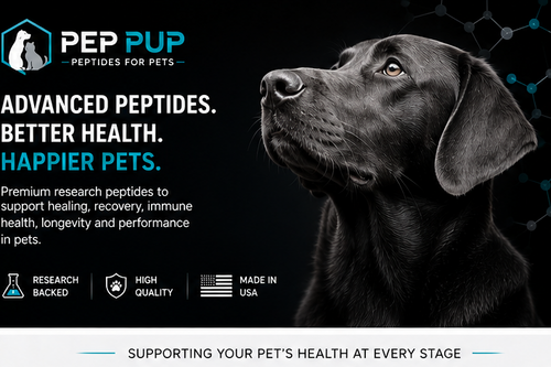 Full body support large and small breed